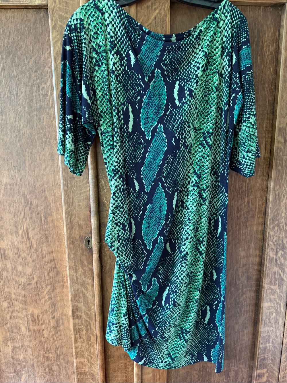 Diane Von Furstenberg Green and Black Snake-Print Silk Midi Dress
